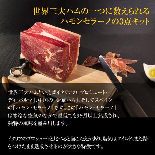 (送料無料 クール代込み) スペイン産 生ハム ハモンセラーノ ブロック ミニ 原木 800g 専用ホルダー キット 3点セットカワタキ | ブランド登録なし | 01