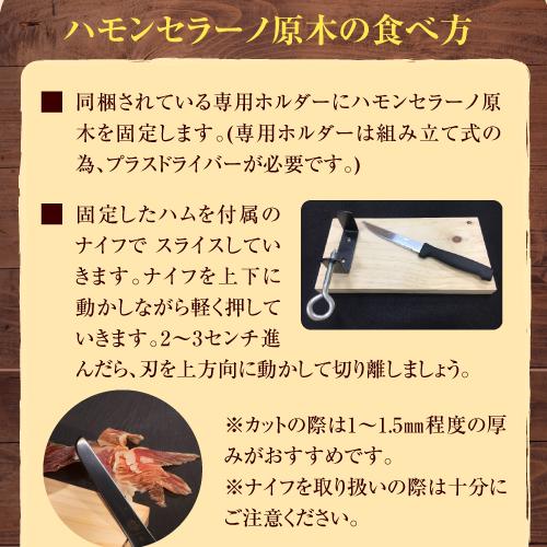 (送料無料 クール代込み) スペイン産 生ハム ハモンセラーノ ブロック ミニ 原木 800g 専用ホルダー キット 3点セットカワタキ | ブランド登録なし | 02