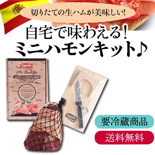 (少量のみ再入荷) 送料無料 クール代込み エスプーニャ ミニハモン 3点セット スペイン産 生ハム ブロック ミニ原木 冷蔵 カワタキ | ブランド登録なし | 01