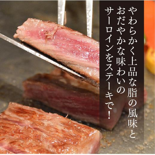 送料無料 モリタ屋 黒毛和牛ロースすき焼き500g サーロインステーキ200g×3枚 600g 産地直送 モリタ屋 (産直) | ブランド登録なし | 09