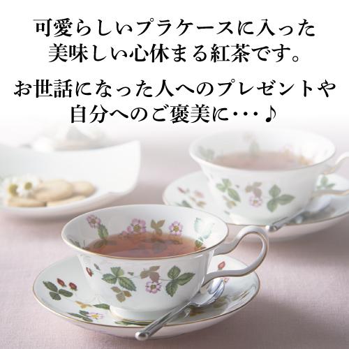 ウエッジウッド ワイルドストロベリー ティーバッグ 3種 18袋×2個