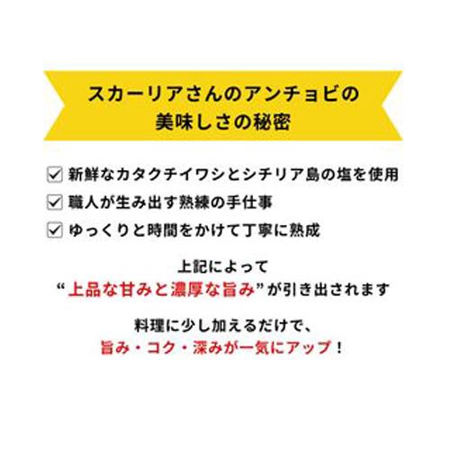 (1個でも送料無料) スカーリアさんのアンチョビフィレ 550g(固形量350g)×1個 イタリア シチリア産 光が丘興産 送料無料 虎S | ブランド登録なし | 01