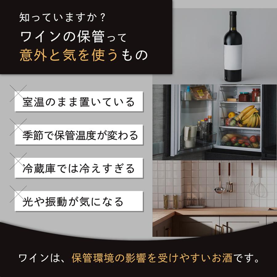Lefier（ルフィエール） ワインセラー PELTIER12 12本 18ヶ月保証 日本