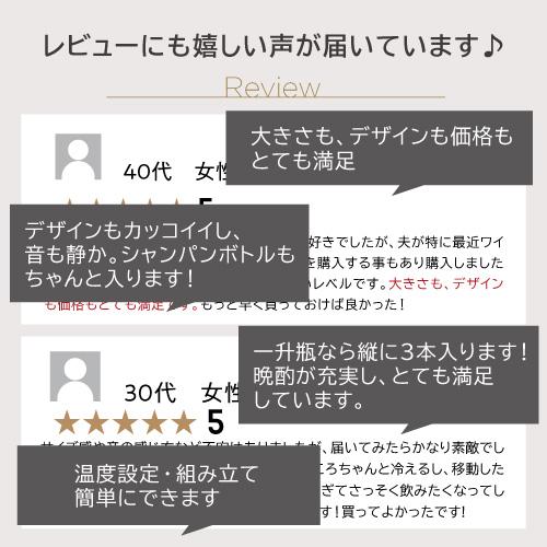 ルフィエール ペルチェライン LW-S12 12本 ワインセラー 日本メーカー製ペルチェ使用 1年保証 ワインクーラー 父の日｜cellar｜06