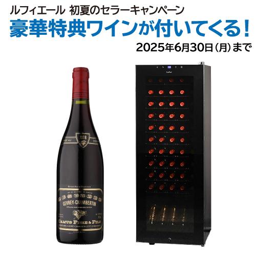 Lefier ワインセラー 家庭用 スリム 業務用 55本 ルフィエール Lefier ワインセラー 家庭用 スリム 業務用 55本 ルフィエール