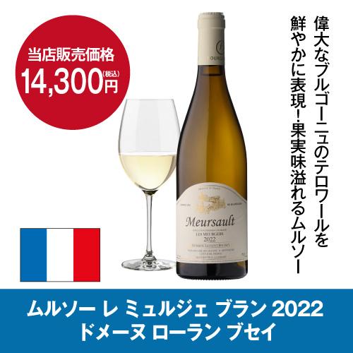 Lefier ワインセラー 家庭用 スリム 業務用 55本 ルフィエール Lefier ワインセラー 家庭用 スリム 業務用 55本 ルフィエール