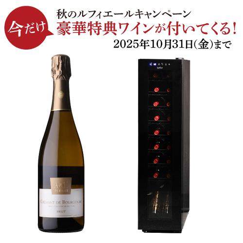 Lefier ルフィエール ワインセラー C18SL 18本収納 2021年製 Lefier ワインセラー ルフィエール BASE18（C18SL