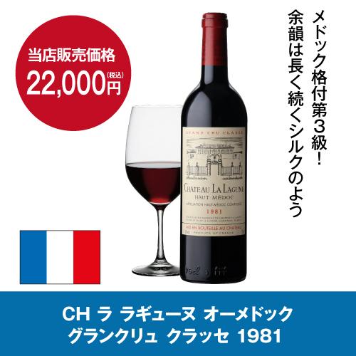 アルテビノ OVM10 Artevino 141本 ワインセラー コンプレッサー式 家庭用 業務用 ワインセラー  セラー●ワイン付 | ジーマックス | 01