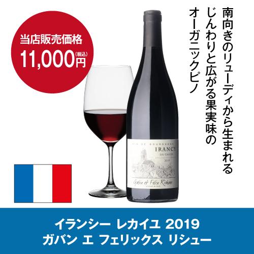 値下げ！】ルフィエールワインセラー32本収納 取説あり