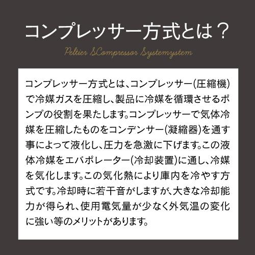 P10倍 ワインセラー ルフィエール GALLERY88  (C88DIS)  88本収納　業務用　家庭用 1年保証 | Lefier | 13