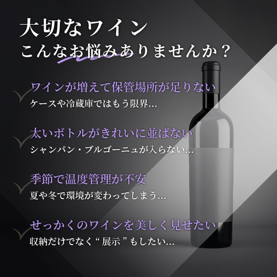 P10倍 ワインセラー ルフィエール GALLERY88  (C88DIS)  88本収納　業務用　家庭用 1年保証 | Lefier | 03