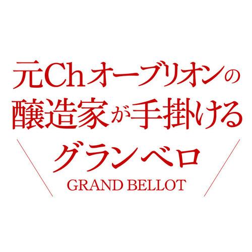 1本あたり1,600 円(税込) 送料無料 グラン ベロ ボルドー 赤 白 ＆スパークリングワイン4本セット 750ml 4本入 フランス ボルドー クレマン ド ボルドー 浜運A | ブランド登録なし | 02