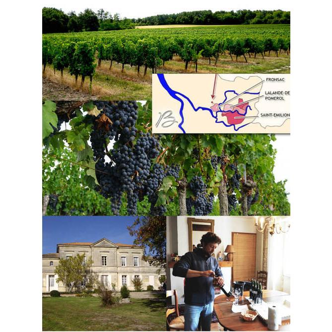 1本あたり1,600 円(税込) 送料無料 グラン ベロ ボルドー 赤 白 ＆スパークリングワイン4本セット 750ml 4本入 フランス ボルドー クレマン ド ボルドー 浜運A | ブランド登録なし | 05