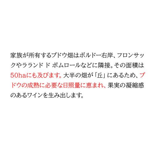 1本あたり1,600 円(税込) 送料無料 グラン ベロ ボルドー 赤 白 ＆スパークリングワイン4本セット 750ml 4本入 フランス ボルドー クレマン ド ボルドー 浜運A | ブランド登録なし | 06