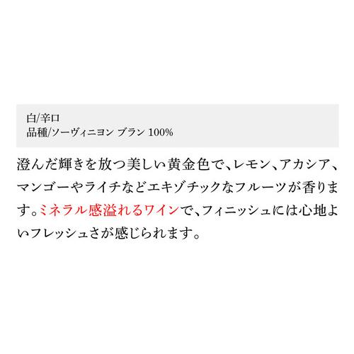 1本あたり1,600 円(税込) 送料無料 グラン ベロ ボルドー 赤 白 ＆スパークリングワイン4本セット 750ml 4本入 フランス ボルドー クレマン ド ボルドー 浜運A | ブランド登録なし | 08