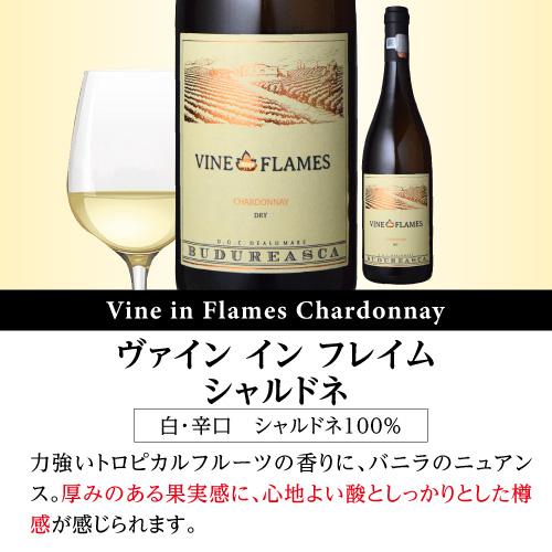 ワインセット 1本あたり1,667円(税込) 送料無料  ルーマニアワイン ヴィル ブドゥレアスカ6本セット 750ml 6本入 赤 白 辛口 長S 虎 | ブランド登録なし | 01