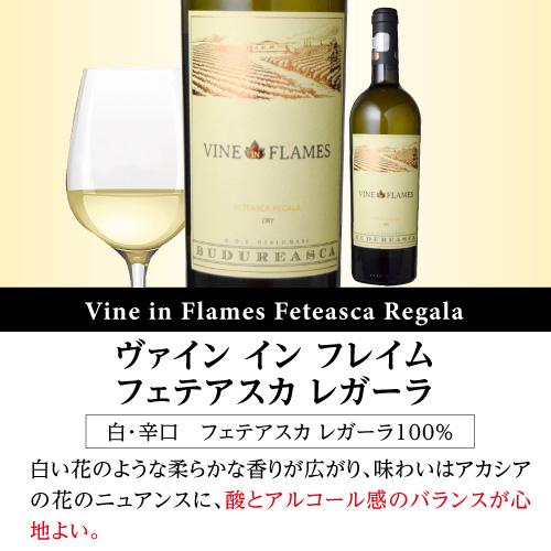 ワインセット 1本あたり1,667円(税込) 送料無料  ルーマニアワイン ヴィル ブドゥレアスカ6本セット 750ml 6本入 赤 白 辛口 長S 虎 | ブランド登録なし | 02