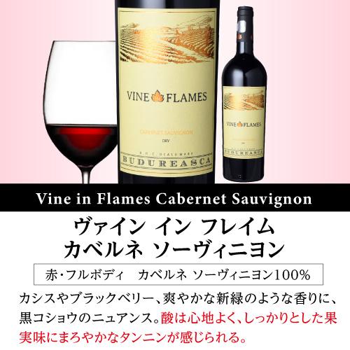 ワインセット 1本あたり1,667円(税込) 送料無料  ルーマニアワイン ヴィル ブドゥレアスカ6本セット 750ml 6本入 赤 白 辛口 長S 虎 | ブランド登録なし | 03