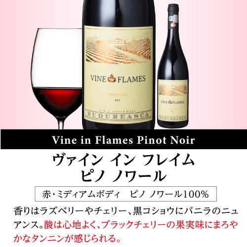 ワインセット 1本あたり1,667円(税込) 送料無料  ルーマニアワイン ヴィル ブドゥレアスカ6本セット 750ml 6本入 赤 白 辛口 長S 虎 | ブランド登録なし | 04