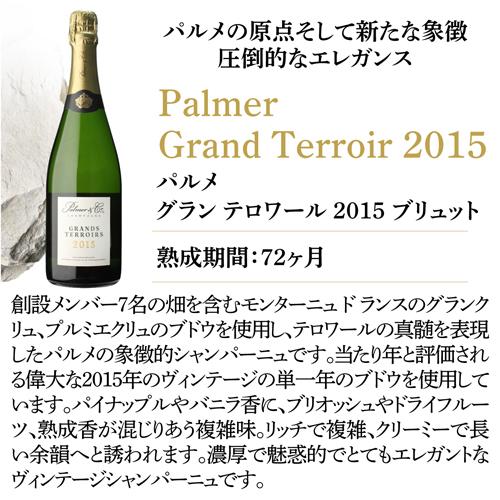 シャンパンセット ドンペリ ＆ パルメ グランテロワール 2015 トップオブシャンパーニュ 2本セット 750ml 浜運A 1本/19,800円 浜運A | ドンペリニヨン | 05