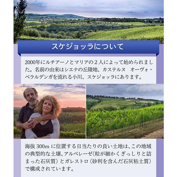 ワインセット 赤セット スケジョッラ コンプリート 3本セット イタリア 浜運A | ブランド登録なし | 03