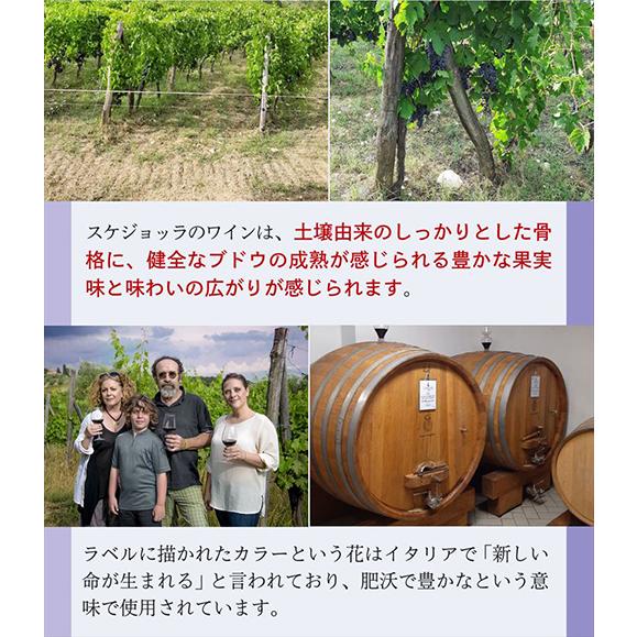 ワインセット 赤セット スケジョッラ コンプリート 3本セット イタリア 浜運A | ブランド登録なし | 04