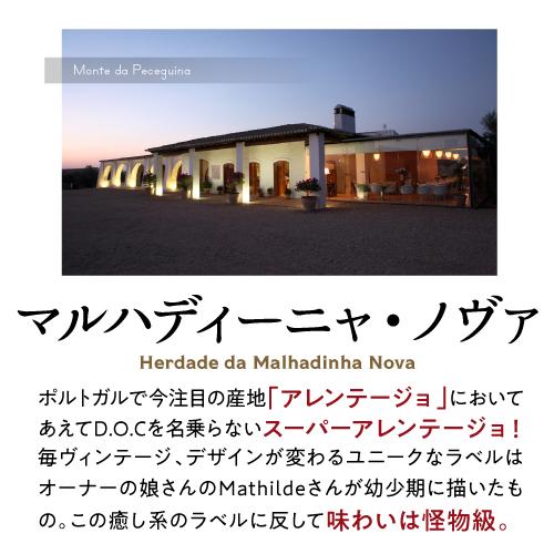 ワイン ワインセット 1本あたり1,834円(税込) 送料無料 ポルトガル 赤白2本＆オリーブオイル1本入り 長S | ブランド登録なし | 03