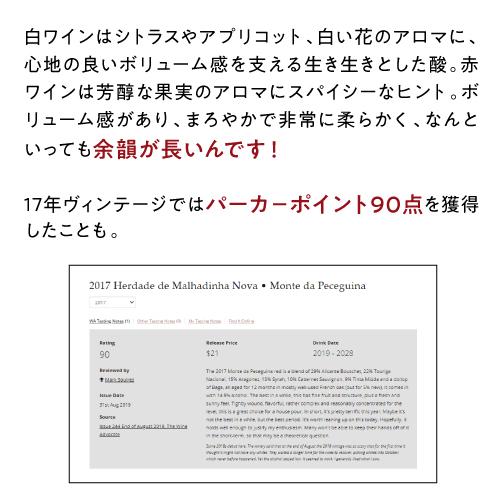 ワイン ワインセット 1本あたり1,834円(税込) 送料無料 ポルトガル 赤白2本＆オリーブオイル1本入り 長S | ブランド登録なし | 04