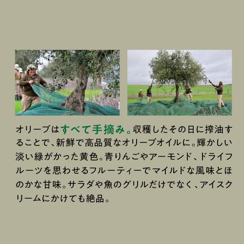 ワイン ワインセット 1本あたり1,834円(税込) 送料無料 ポルトガル 赤白2本＆オリーブオイル1本入り 長S | ブランド登録なし | 07