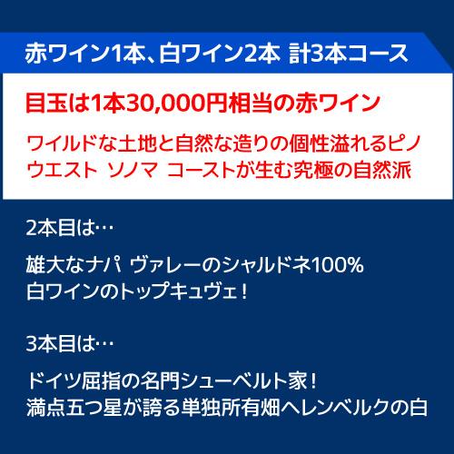 ワイン福袋 11月1日限定 3本入り3万円(税別) 3種類のコースから選べる セット 赤 白 シャンパン 泡 浜運 おひとり様1セット限定 予約 2026/11/4以降発送予定 | ブランド登録なし | 04