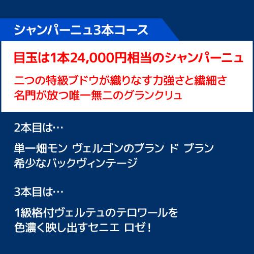 ワイン福袋 11月1日限定 3本入り3万円(税別) 3種類のコースから選べる セット 赤 白 シャンパン 泡 浜運 おひとり様1セット限定 予約 2026/11/4以降発送予定 | ブランド登録なし | 05