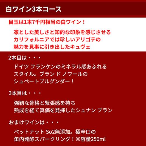 ワイン福袋 5月GW限定 3本入り1万円(税別) 3種類のコースからお好きに選べる ワインセット 赤 白 スパークリング シャンパン 浜運 予約 2026/5/7以降発送予定 | ブランド登録なし | 04