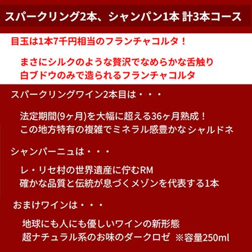 ワイン福袋 5月GW限定 3本入り1万円(税別) 3種類のコースからお好きに選べる ワインセット 赤 白 スパークリング シャンパン 浜運 予約 2026/5/7以降発送予定 | ブランド登録なし | 05