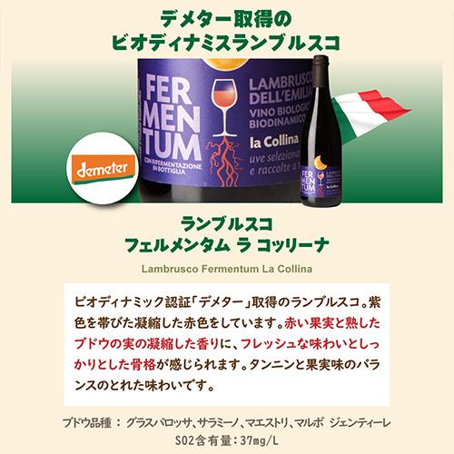 1本あたり1,880円(税込) 送料無料 全てビオ スパークリング 5本セット17弾 750ml 5本入 ビオ ビオディナミ BIO ワインセット 浜運A | ブランド登録なし | 05