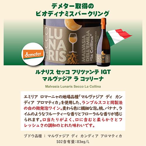 1本あたり1,880円(税込) 送料無料 全てビオ スパークリング 5本セット17弾 750ml 5本入 ビオ ビオディナミ BIO ワインセット 浜運A | ブランド登録なし | 06