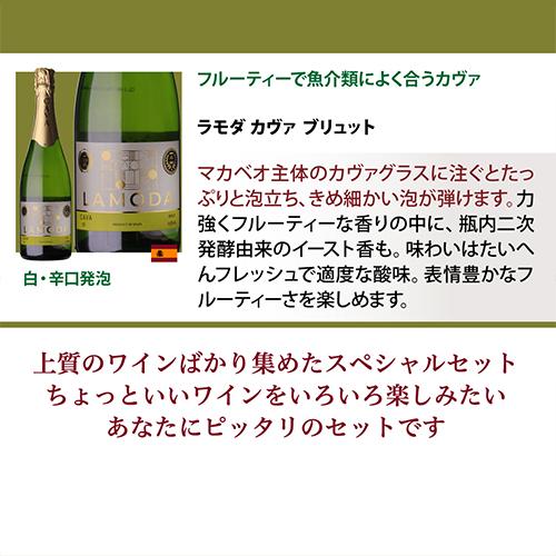 全てシャンパーニュと同製法！プレミアム特選スパークリングワイン12本