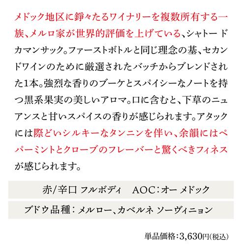 ワインセット 1本あたり3,300 円(税込) 送料無料  ちょい熟ボルドー2015＆2016 6本セット 750ml 6本入 フランス 浜運｜cellar｜16