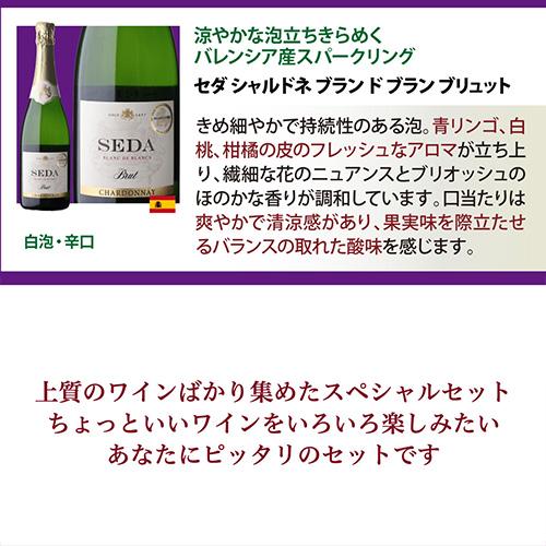 1本あたり1,080円(税込)送料無料】 プレミアム特選ワイン12本セット 70