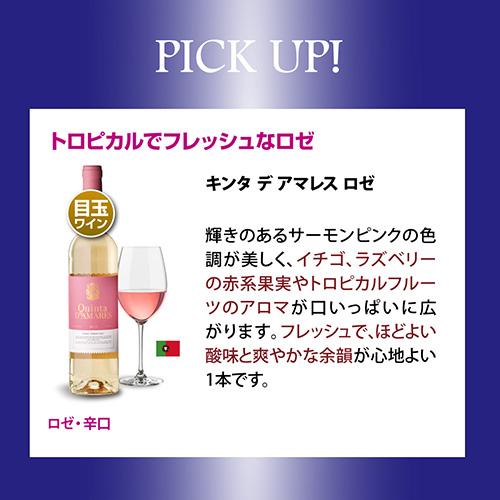 1本あたり1,080円(税込)送料無料】 プレミアム特選ワイン12本セット 70