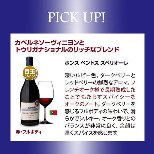 1本あたり1,080円(税込)送料無料】 プレミアム特選ワイン12本セット 70