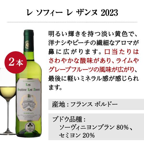 白ワイン 全て金賞！ボルドーブランセット 750ml 12本入 フランスワインセット 1本あたり874円(税込)  送料無料 長S | ブランド登録なし | 10