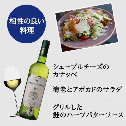 白ワイン 全て金賞！ボルドーブランセット 750ml 12本入 フランスワインセット 1本あたり874円(税込)  送料無料 長S | ブランド登録なし | 11