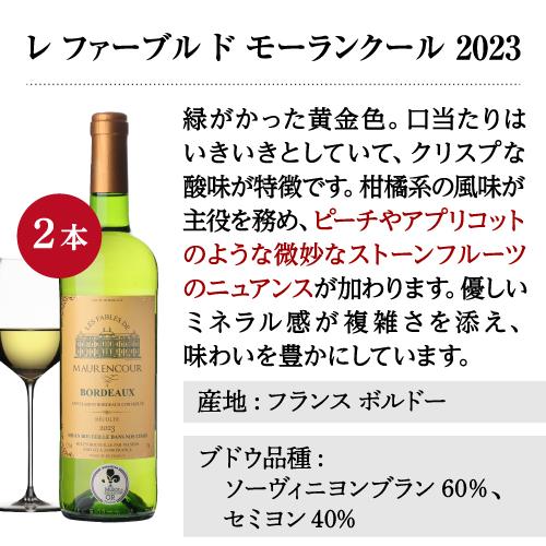 白ワイン 全て金賞！ボルドーブランセット 750ml 12本入 フランスワインセット 1本あたり874円(税込)  送料無料 長S | ブランド登録なし | 14