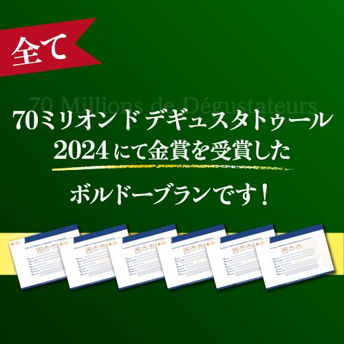 白ワイン 全て金賞！ボルドーブランセット 750ml 12本入 フランスワインセット 1本あたり874円(税込)  送料無料 長S | ブランド登録なし | 02