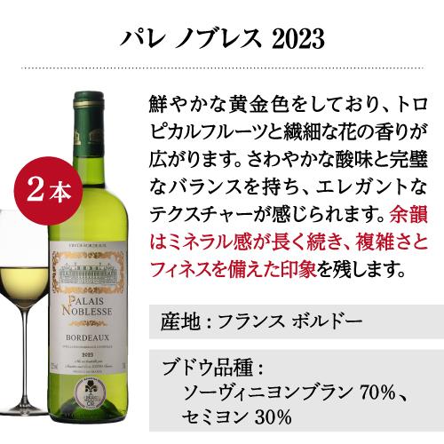 白ワイン 全て金賞！ボルドーブランセット 750ml 12本入 フランスワインセット 1本あたり874円(税込)  送料無料 長S | ブランド登録なし | 06
