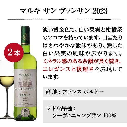 白ワイン 全て金賞！ボルドーブランセット 750ml 12本入 フランスワインセット 1本あたり874円(税込)  送料無料 長S | ブランド登録なし | 08