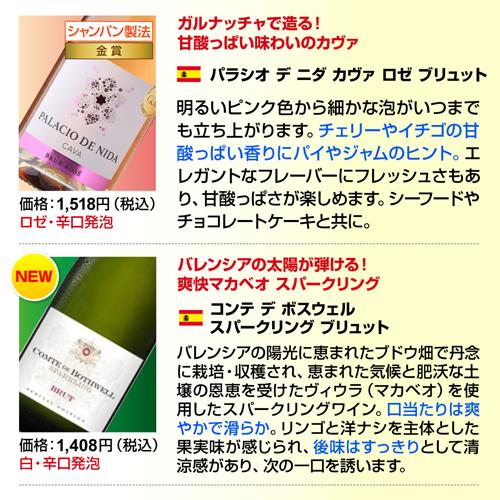 ワインセット スパークリング 12本 +2本 750ml 辛口泡だけ 特選