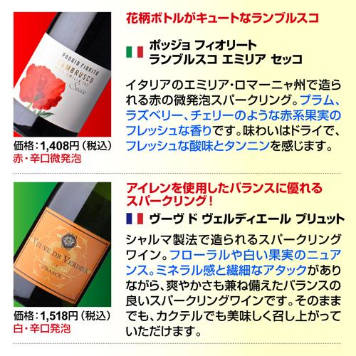 ワインセット スパークリング 12本 +2本 750ml 辛口泡だけ 特選