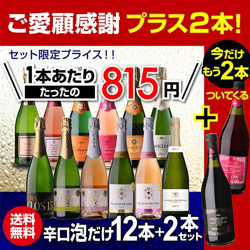 ワインセット スパークリング 12本 +2本 750ml 辛口泡だけ 特選