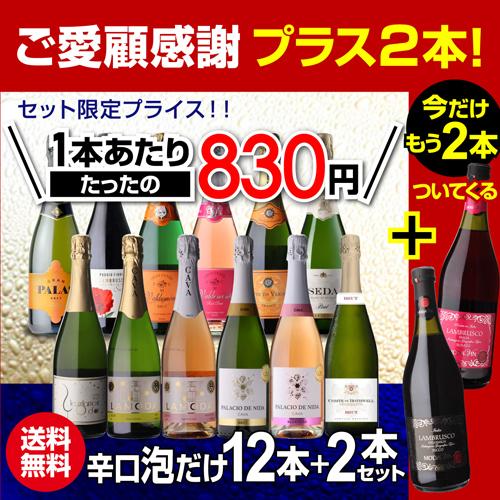 【最終値下げ】★スパークリングワイン 12本セット★ ワインセット スパークリング 12本 +2本 750ml 辛口泡だけ 特選